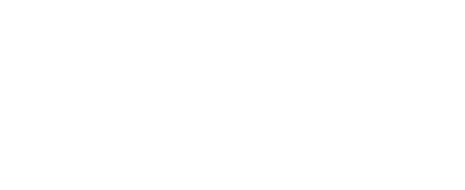 Sky Freight Services logo